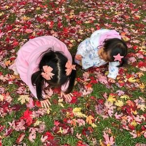 Meet your Posher, Carmz